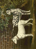 Barber Burton Book Dog 1881 Bull Terrier & Dalmation A4 Photo Print