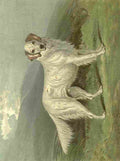 Barber Burton Book Dog 1881 English Setter A4 Photo Print