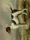 Barber Burton Book Dog 1881 Fox hound A4 Photo Print