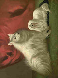 Barber Burton Book Dog 1881 Pomeranian & Maltese A4 Photo Print