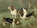 Barber Charles Dog 1881 Bassett Hounds A4 Photo Print