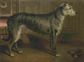Barber Charles Dog 1881 Deerhound A4 Photo Print