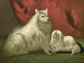 Barber Charles Dog 1881 Pomeranian & Maltese A4 Photo Print
