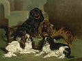 Barber Charles Dog 1881 Toy Spaniels A4 Photo Print