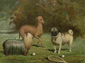 Barber Charles Dog 1881 Yorkie Greyhound Pug A4 Photo Print