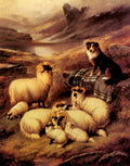 Barker John Guarding His Flock Art A4 Photo Print