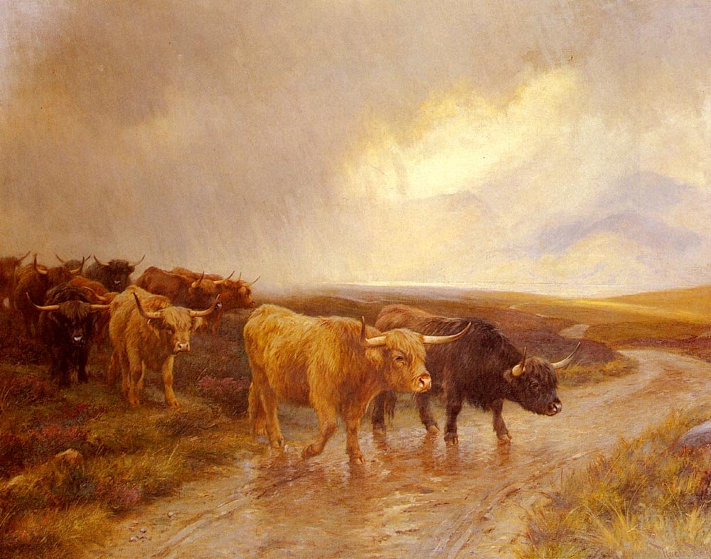 Barker Wright Highland Cattle Art A4 Photo Print