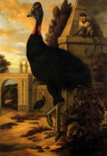 Barlow Francis A Cassowary Art A4 Photo Print UK