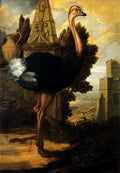 Barlow Francis An Ostrich Art A4 Photo Print