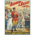 Barnum And Bailey Baby Giraffe Circus V Vintage Retro Advert Poster A4 Photo Pr