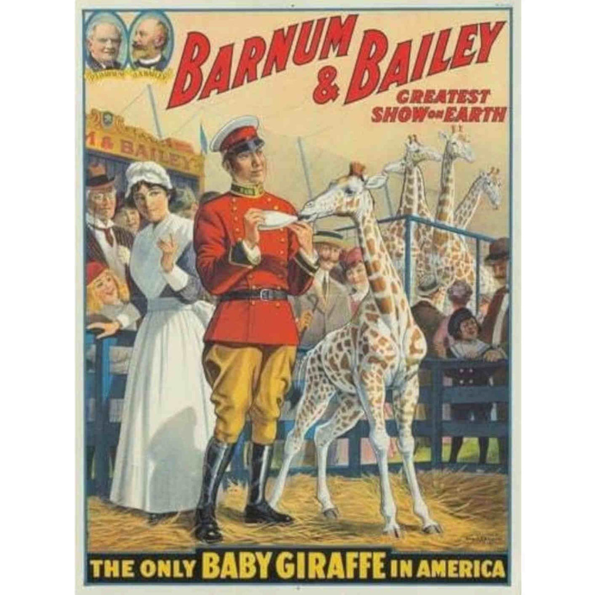 Barnum And Bailey Baby Giraffe Circus V Vintage Retro Advert Poster A4 Photo Pr