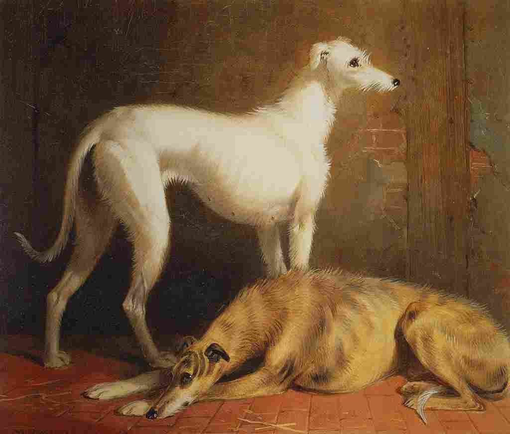 Barraud William 1810 1850 Dreaming Chase A4 Photo Print
