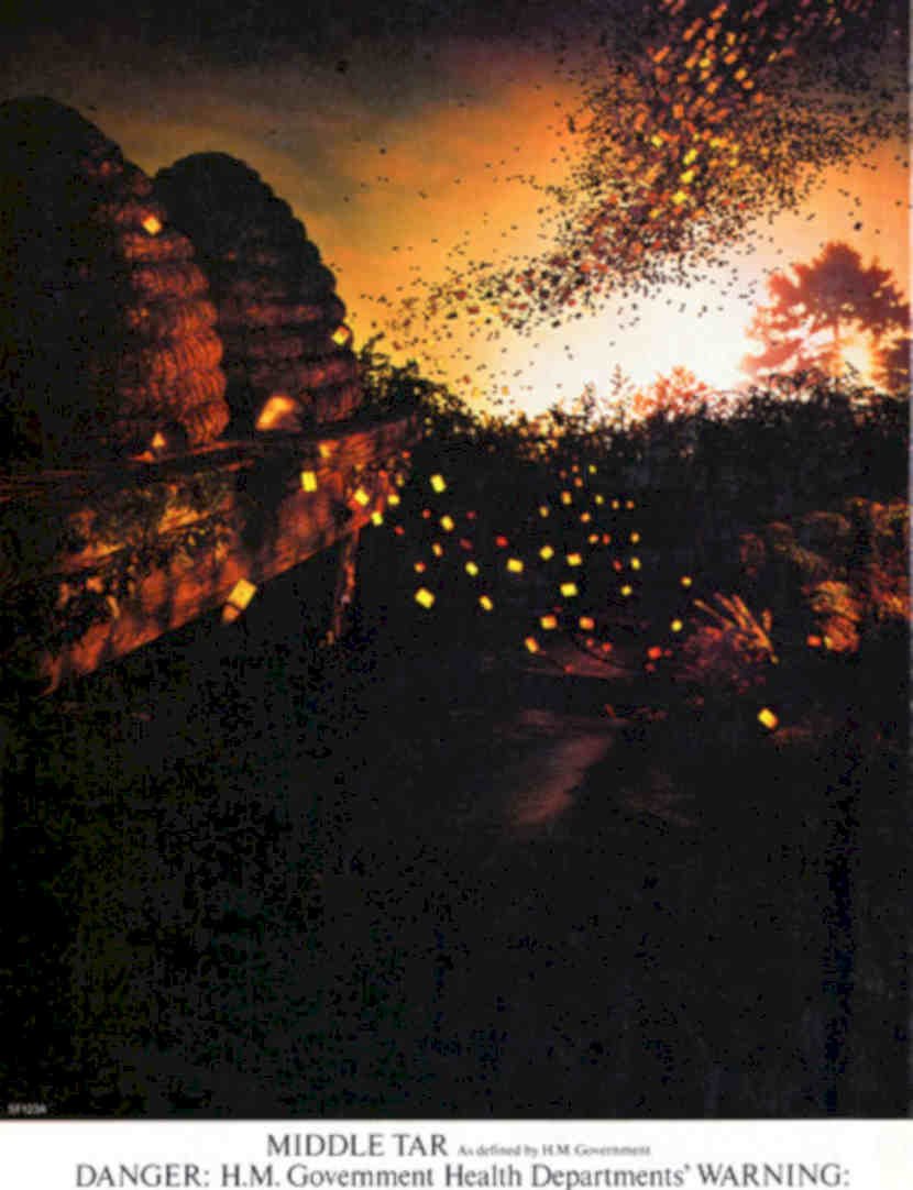 Bats Cave Middle Vintage Retro Advert Poster A4 Photo Print