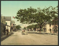 Bay Street Nassau Bahama Islands Vintage A4 Photo Print