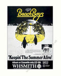 Beach Boys Summer Vintage Retro Advert Poster A4 Photo Print