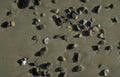 Beach Pebbles Rocks A4 Photo Print