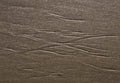 Beach Sand Ripple 2 A4 Photo Print