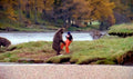 Bear River Autumn Vintage Retro Advert Poster A4 Photo Print