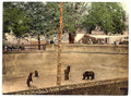 Bear pit Berne Vintage A4 Photo Print