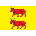 Bearn Prov Flag N3009 A4 Photo Print