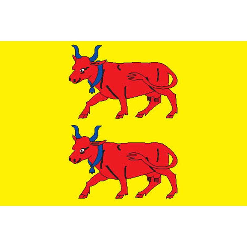 Bearn Prov Flag N3009 A4 Photo Print
