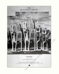 Beautiful South Choke Vintage Retro Advert Poster A4 Photo Print