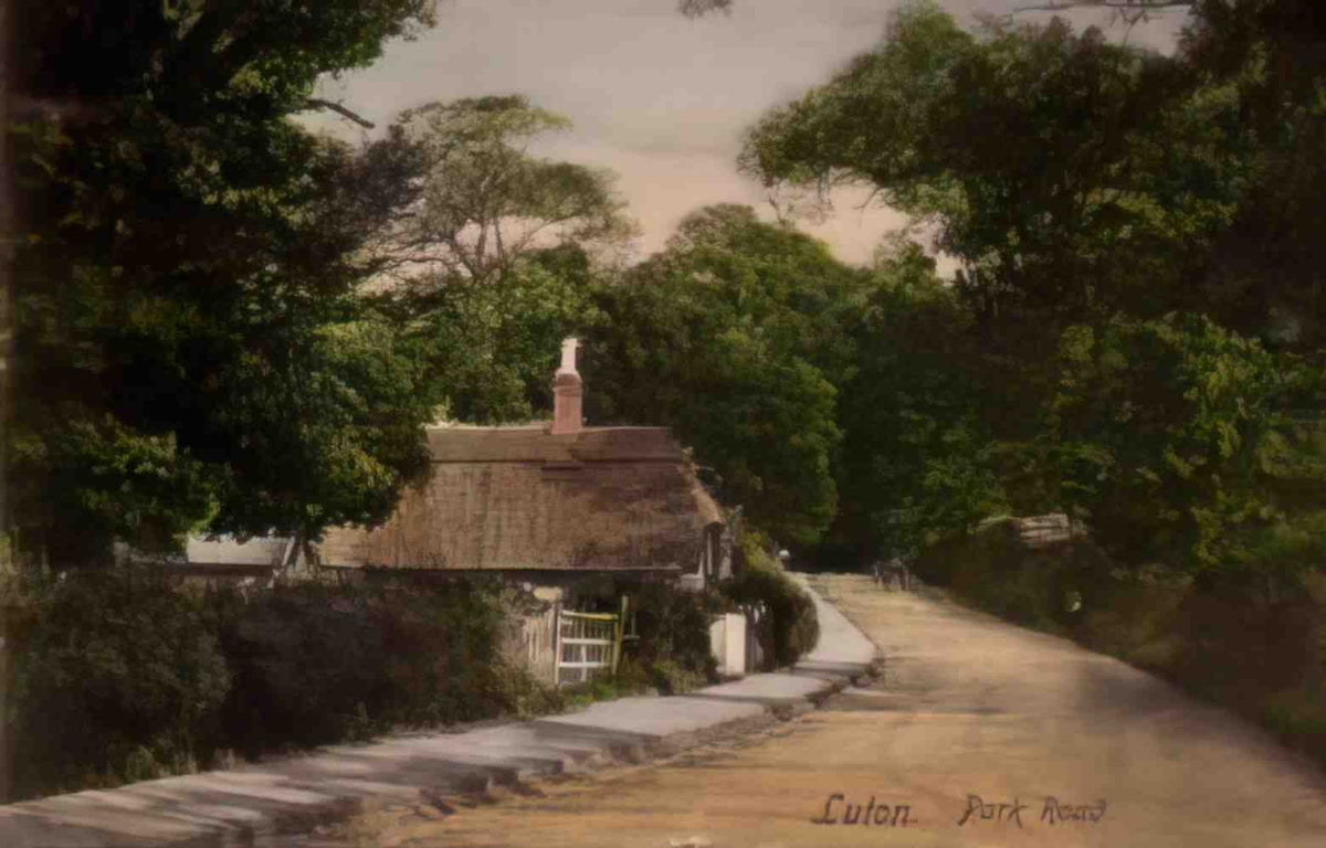 Bedfordshire Luton Park Road c1900 Vintage A4 Photo Print