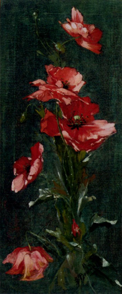 Bednar Otto Japanese Anemones Art A4 Photo Print