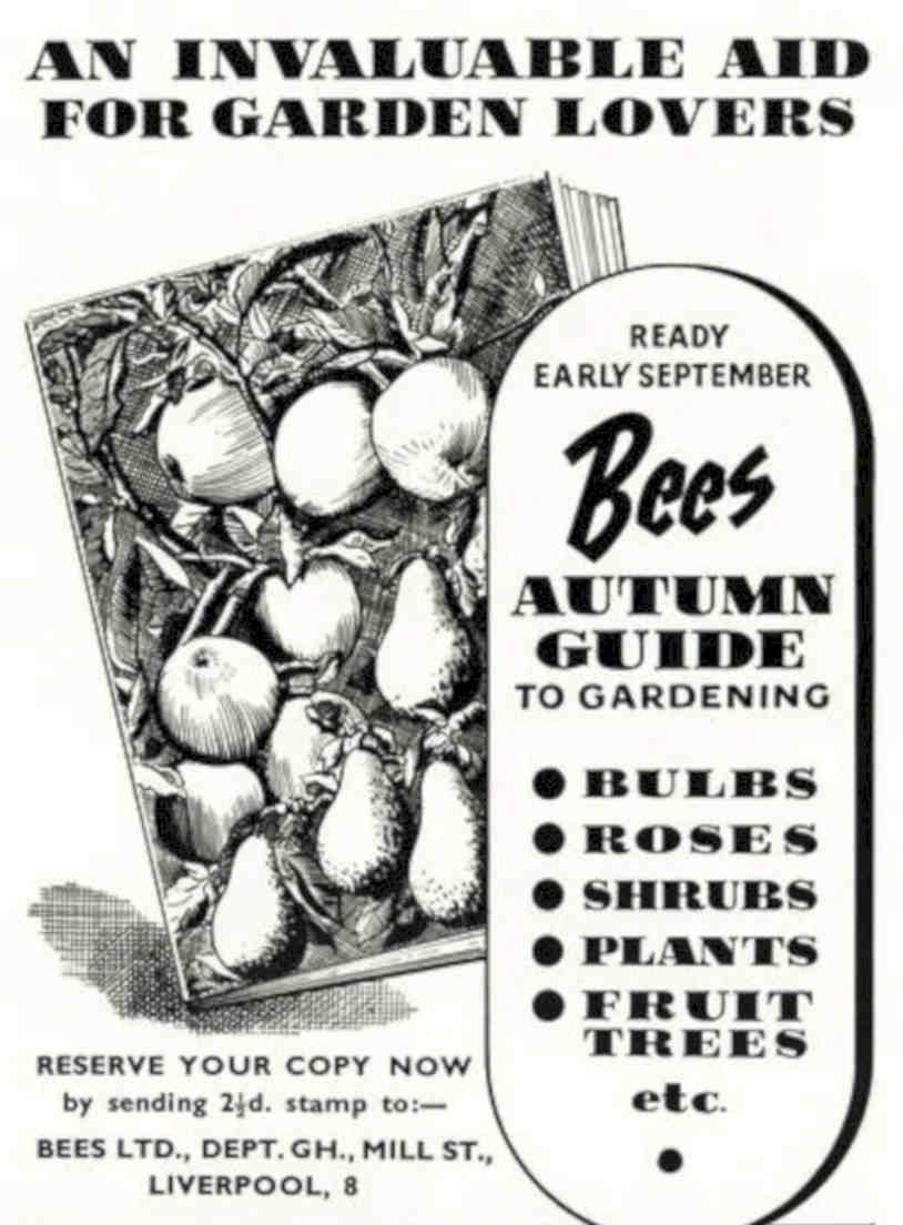 Bees Autumn Guide Vintage Retro Advert Poster A4 Photo Print