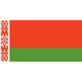 Belarus Flag N1336 A4 Photo Print
