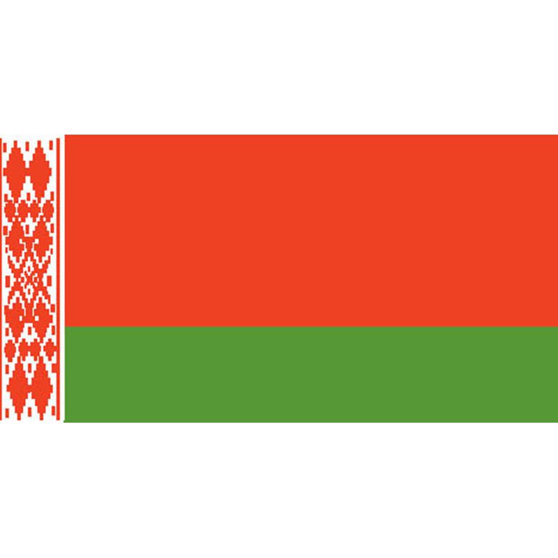 Belarus Flag N710 A4 Photo Print