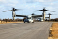Bell Boeing V22 Osprey 24 Military A4 Photo Print