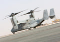 Bell Boeing V22 Osprey 5 Military A4 Photo Print