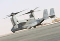 Bell Boeing V22 Osprey 5 (2) Military A4 Photo Print