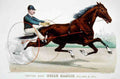 Belle Hamlin Horse 001 Vintage A4 Photo Print