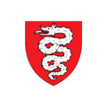 Bellinzona Dist Coat Of Arms N4290 A4 Photo Print