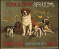 Bench Show Dogs Vintage Retro Advert Poster A4 Photo Print