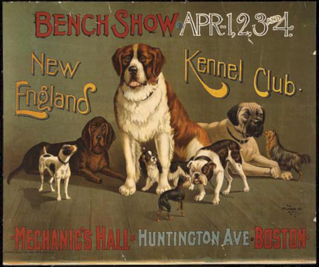 Bench Show Dogs Vintage Retro Advert Poster A4 Photo Print