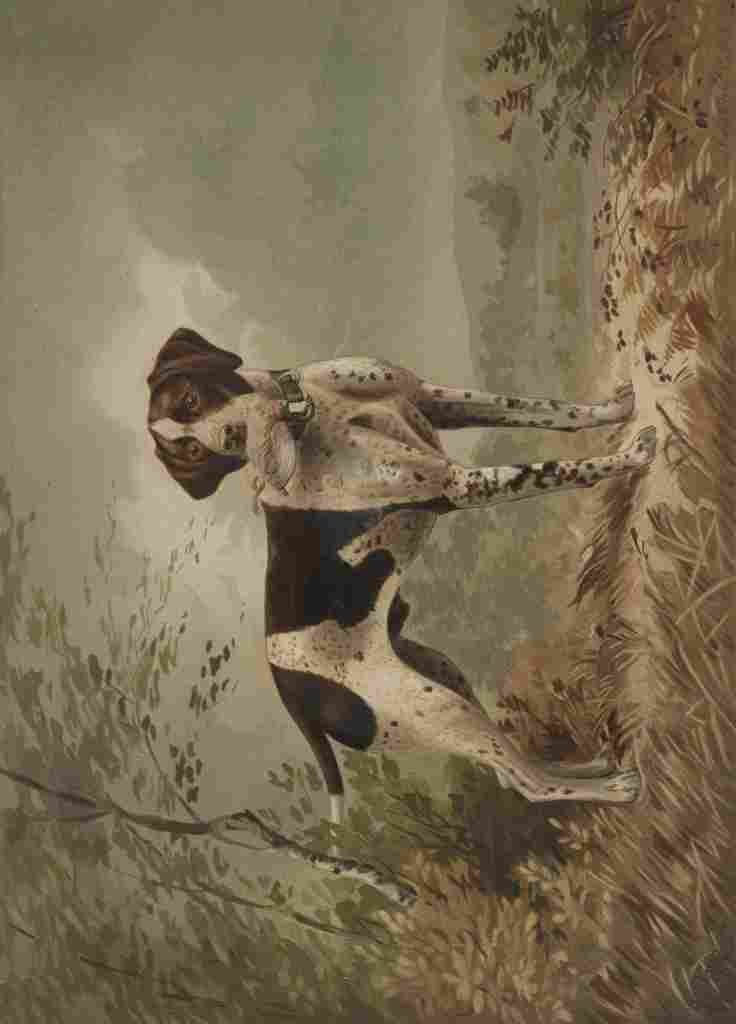 Bencke Herman Dog c1879 A4 Photo Print