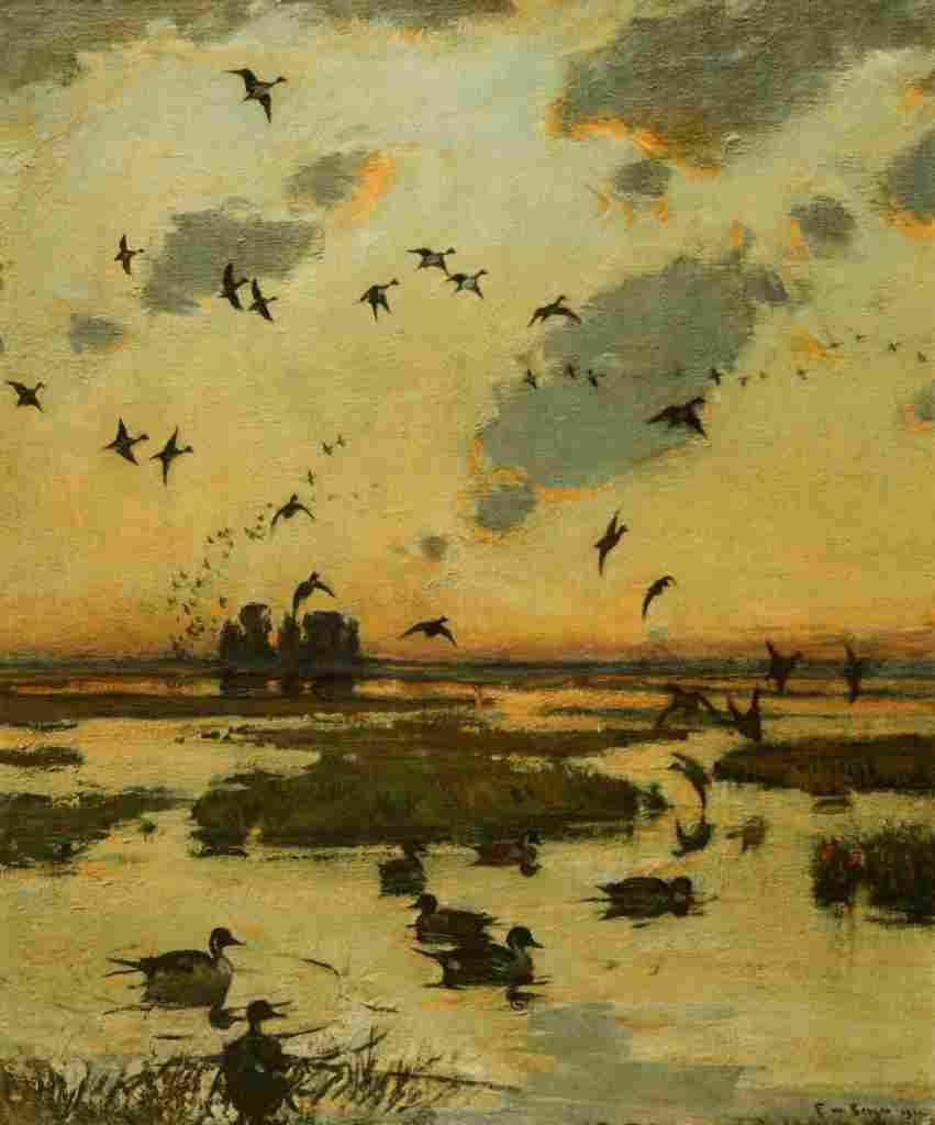 Benson FW 1862 1951 Nat History of Ducks 1925 Duck Marsh A4 Photo Print