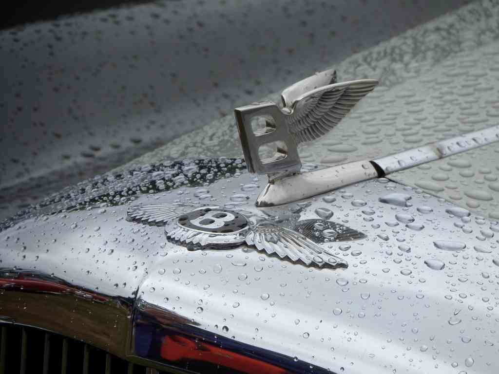 Bentley Boot Bonnet 2363 A4 Photo Print