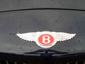 Bentley Boot Bonnet 2390 A4 Photo Print