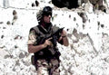 Beretta Model 12 Submachine Gun 3 (2) Military A4 Photo Print