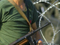 Beretta Model 38 4 Military A4 Photo Print
