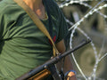 Beretta Model 38 4 (2) Military A4 Photo Print