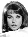 Berger Senta 12 film star poster A4 Photo Print