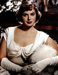 Bergman Ingrid 09 film star poster A4 Photo Print
