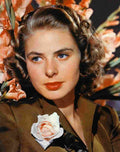 Bergman Ingrid 4 film star poster A4 Photo Print