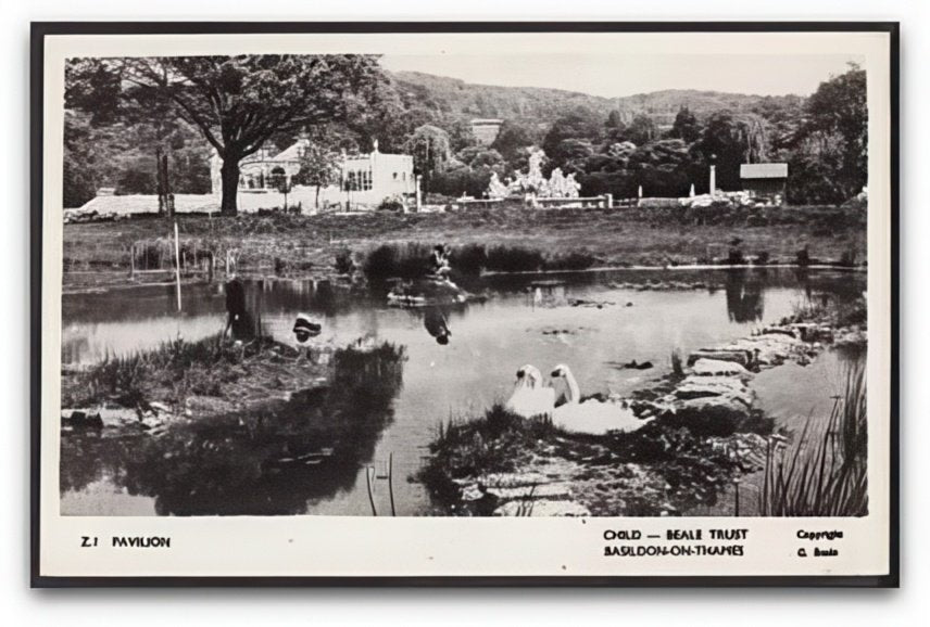 Berkshire Basildononthames Childbeale Trust Pavilion Swans On Nest Vintage A4 Photo Print