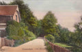 Berkshire Caversham The Warren 1900s Vintage A4 Photo Print